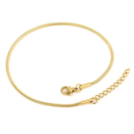 1pc Adjustable Stainless Steel Snake Chain Anklet 20+5cm Waterproof Jewelry Gift for Women and Girlssn